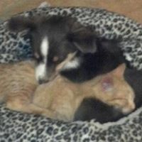 Ruth Stevenson Photo 7