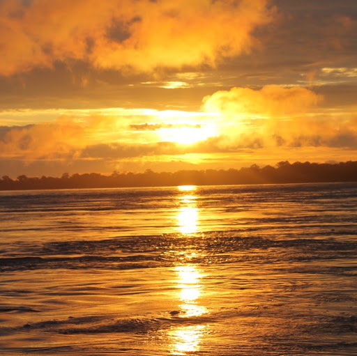 Dina Gutierrez Photo 16