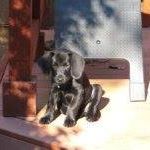 Vicky Hall Photo 24 Vicky Hall Photo 24