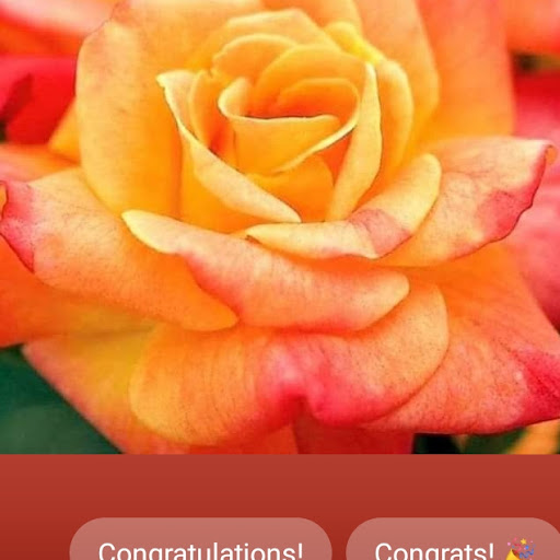 Renee Graham Photo 25