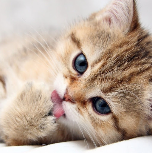 Paige Clements Photo 5