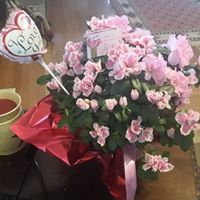 Brenda Meyer Photo 27