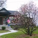 Donna Blanton Photo 33