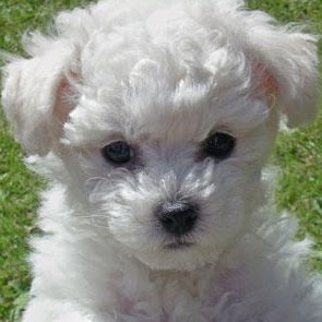 Betty Patterson Photo 47