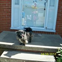 Brenda Hardesty Photo 14