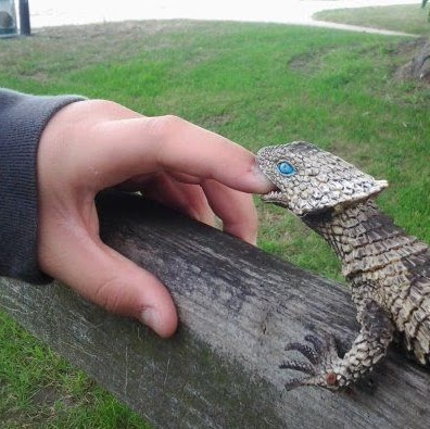 Philip Hammer Photo 11