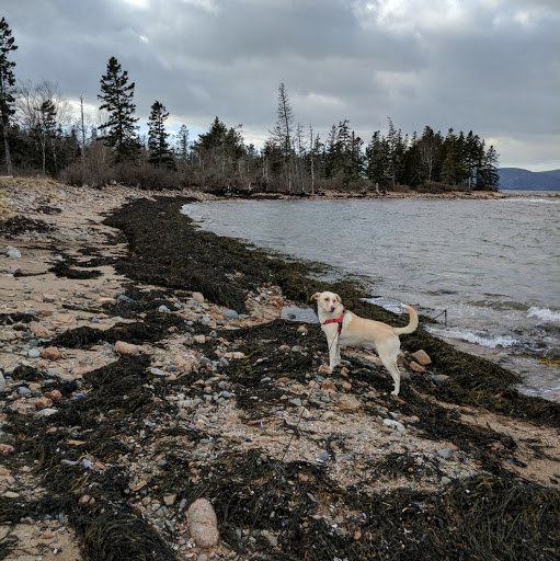 Emily Gilbert Photo 38 Emily Gilbert Photo 38