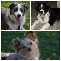 Connie Dunn Photo 15