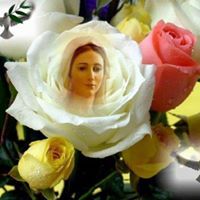 Mary Wehbe Photo 3
