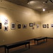 Lawrence Haley Photo 19