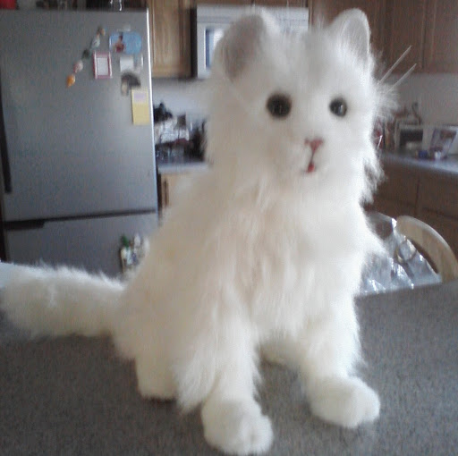 Elaine Reed Photo 22