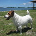 Cynthia Russell Photo 38