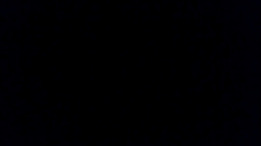 Caroline Dailey Photo 12