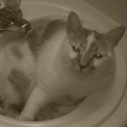 Sarah Painter Photo 33