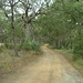 Frances Robertson Photo 14