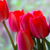 Claudia Camacho Photo 2