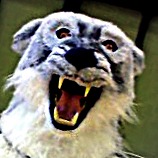 Herbert Hoover Photo 33 Herbert Hoover Photo 33