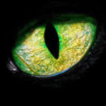 Eugene Gray Photo 10