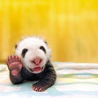 Patrick Donovan Photo 54