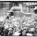 Alice Carpenter Photo 6