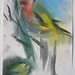 Stephen Bird Photo 24