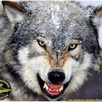 Robert Mcclintock Photo 26