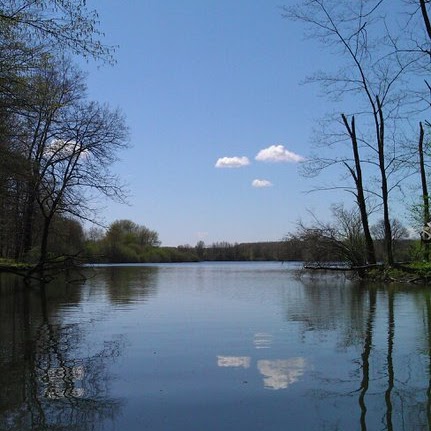 Amanda Burns Photo 23