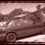 Edgar Serrano Photo 46