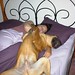 Renee Riley Photo 11