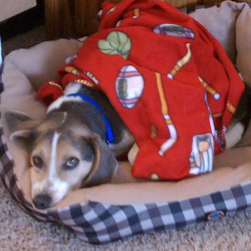 Bryan Erickson Photo 17