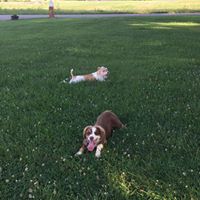 Rachel Cheek Photo 12