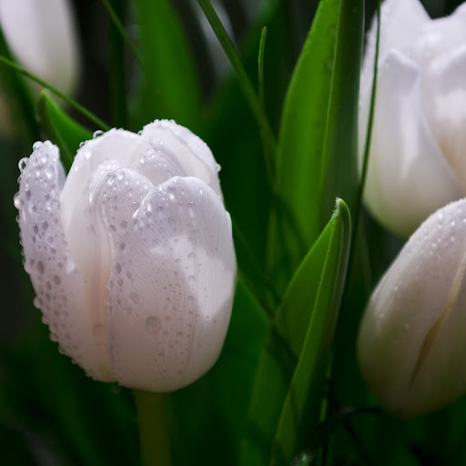 Donna Doherty Photo 12