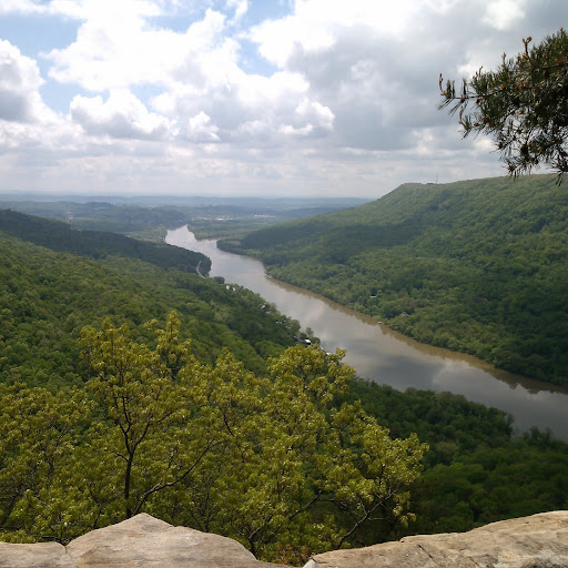 Cynthia Oquendo Photo 4