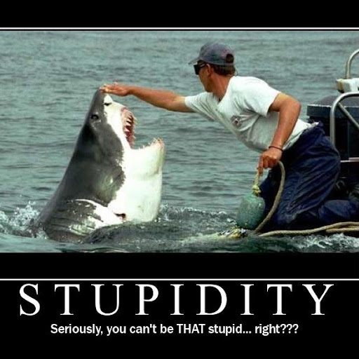 Steven Cash Photo 18