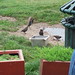 Michele Starling Photo 16