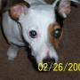 Wayne Wagner Photo 11