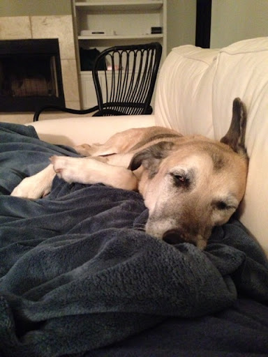 Randy Schaefer Photo 14