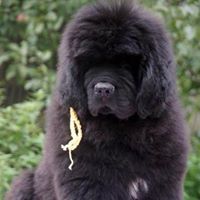 Cynthia Harrington Photo 21