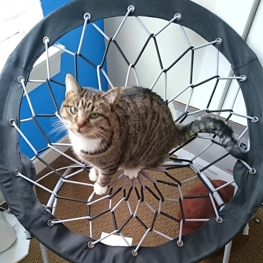 Kelly Myers Photo 13 Kelly Myers Photo 13