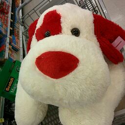 Cindy Hernandez Photo 37