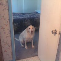 Lillie Bell Photo 16