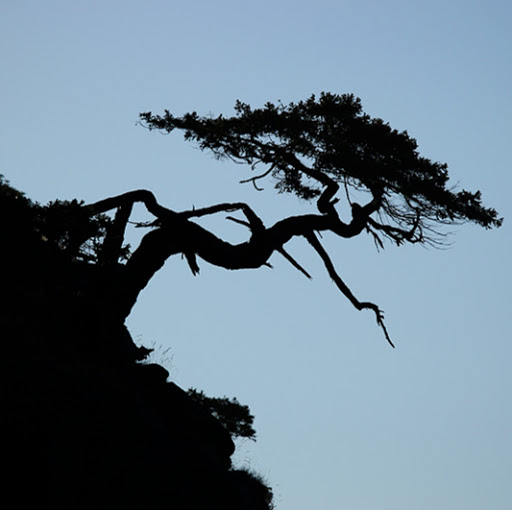 Mark Powell Photo 55