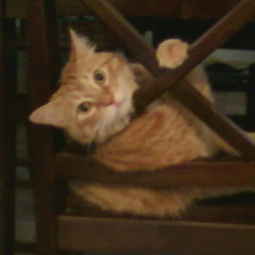 Carol Metzger Photo 36