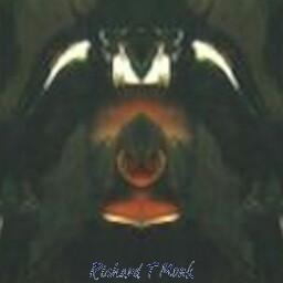 Richard Monk Photo 30