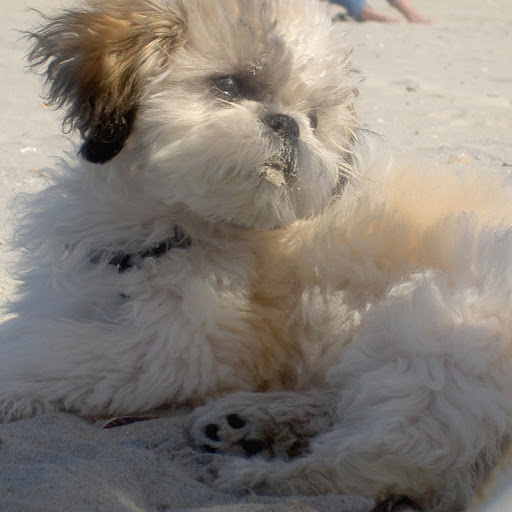 Jennifer Connelly Photo 34 Jennifer Connelly Photo 34