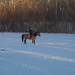 Vickie Snow Photo 23