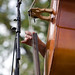 Steve Funk Photo 11