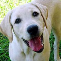 Harry Tyler Photo 20