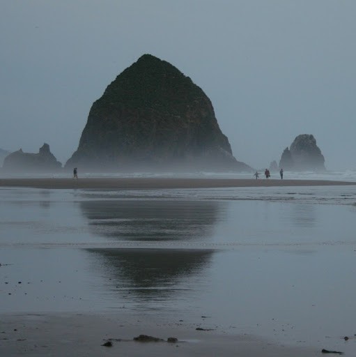 Sherri Johnson Photo 41 Sherri Johnson Photo 41