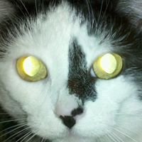 Paula Sadler Photo 10